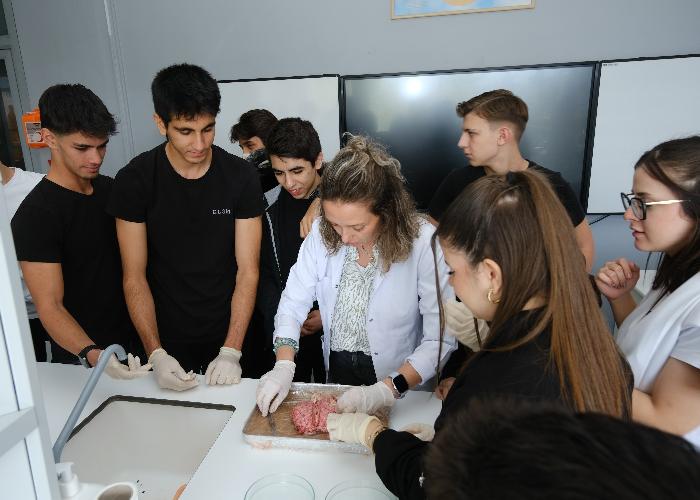 11. SINIF ÖĞRENCİLERİNDEN BEYİN DİSEKSİYONU UYGULAMASI