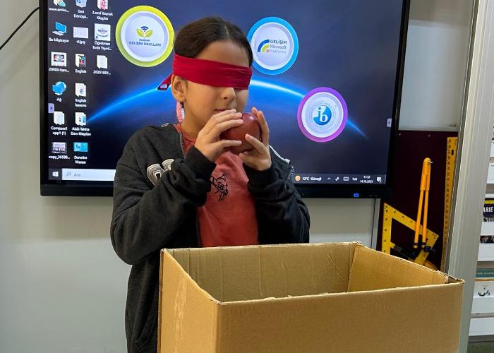 >DUYU ORGANLARININ TEMEL GÖREVLERİ